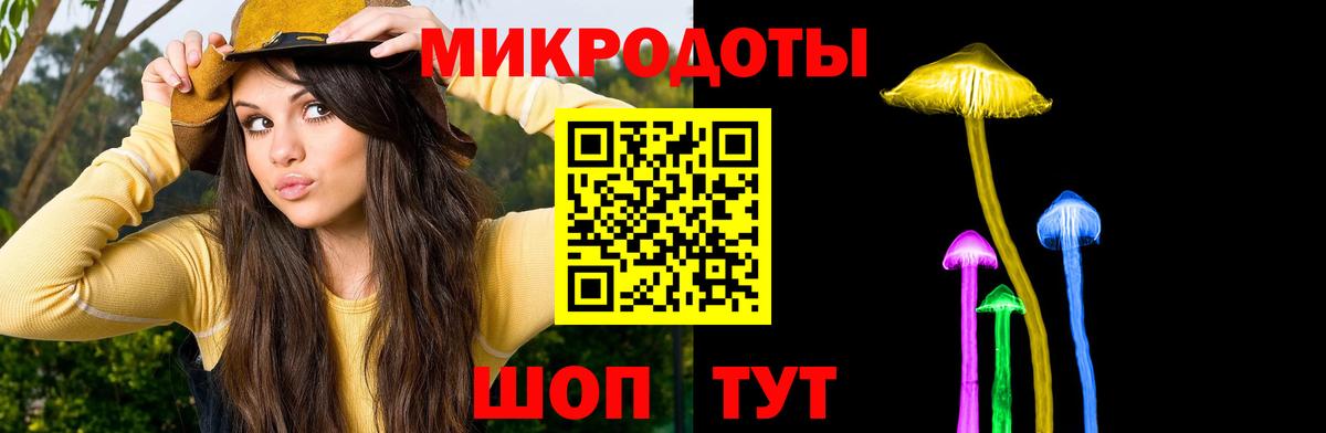 Похвистнево  Галлюциногенные грибы Psilocybe  Вход с VPN  Галлюциногенные грибы Psilocybe 
